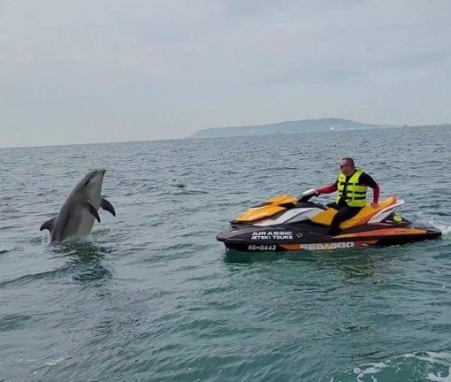 jetski 2 jetski 2